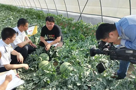 寒流无情，农大和bb贝博艾弗森官方网站有爱