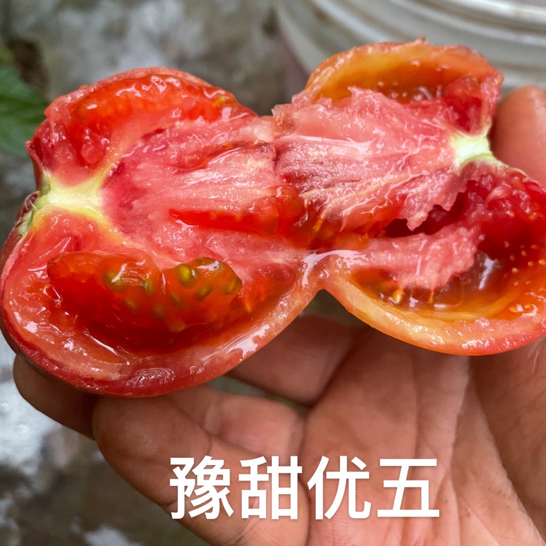 bb贝博艾弗森官方网站优五