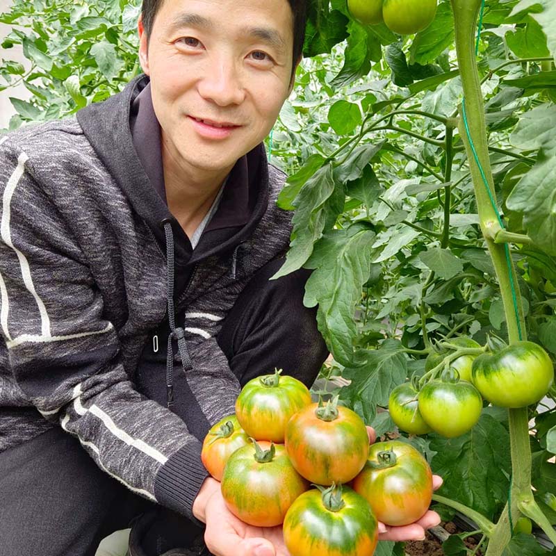 bb贝博艾弗森官方网站优六