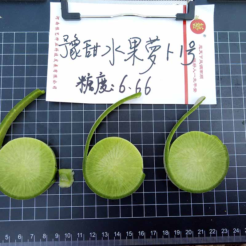 bb贝博艾弗森官方网站水果萝卜