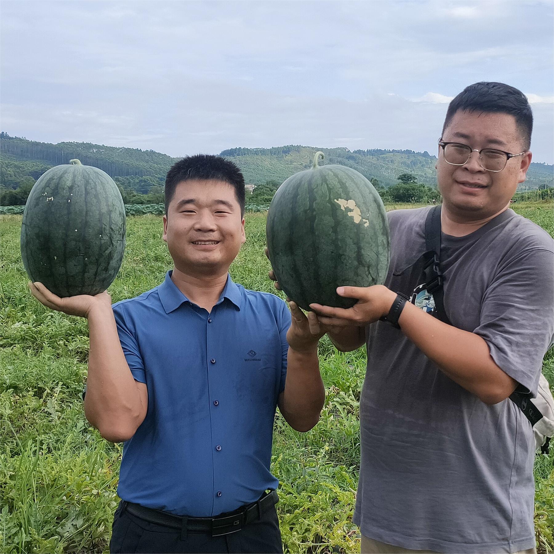 bb贝博艾弗森官方网站黑娃二号