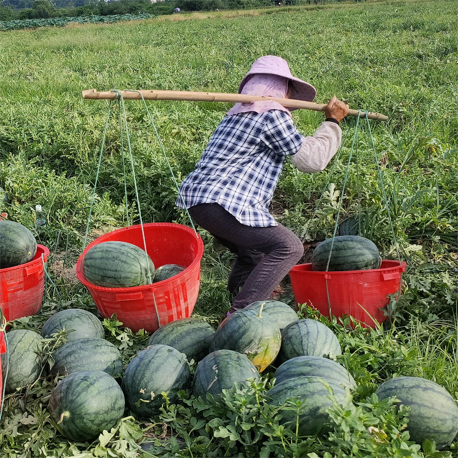 bb贝博艾弗森官方网站黑娃二号