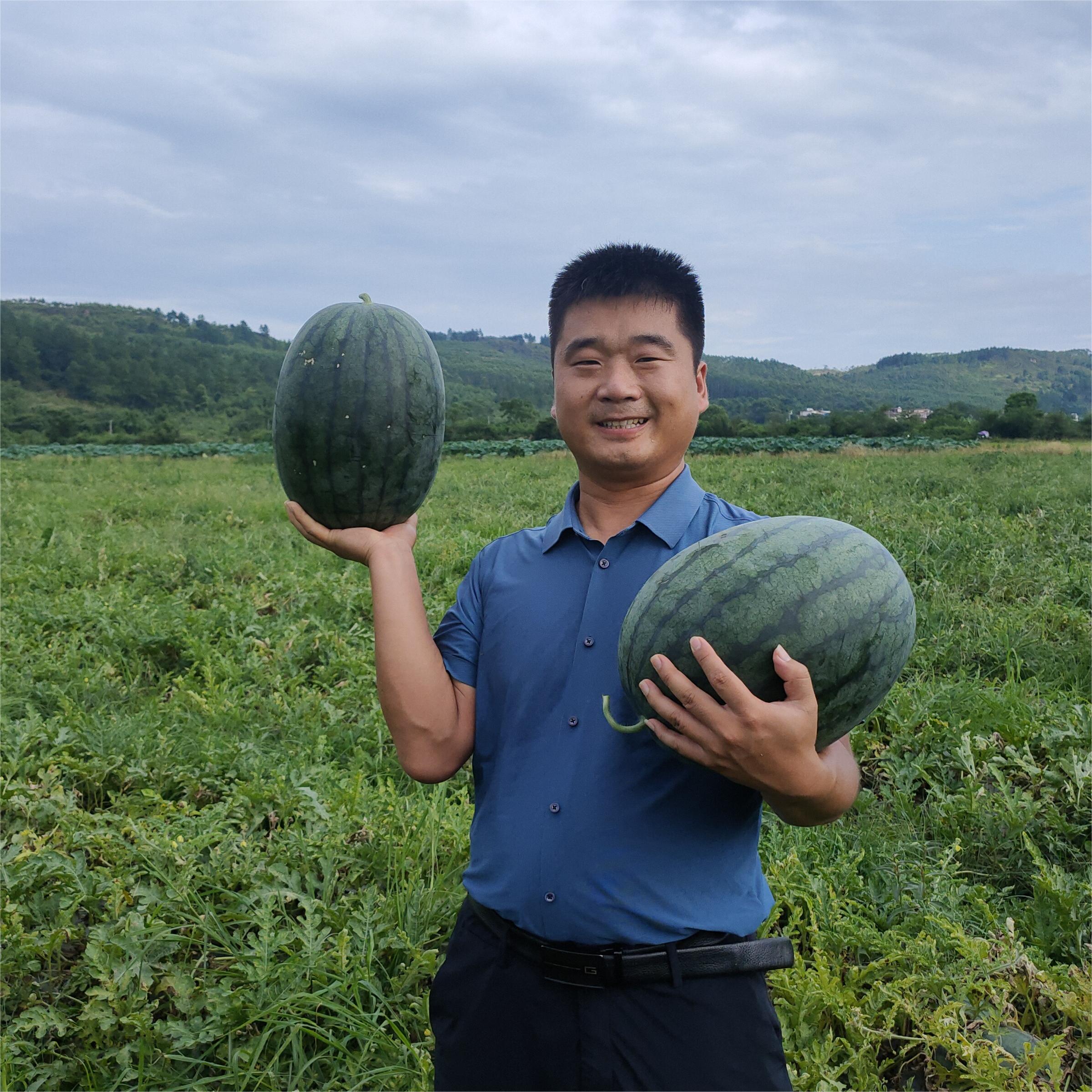 bb贝博艾弗森官方网站黑娃二号