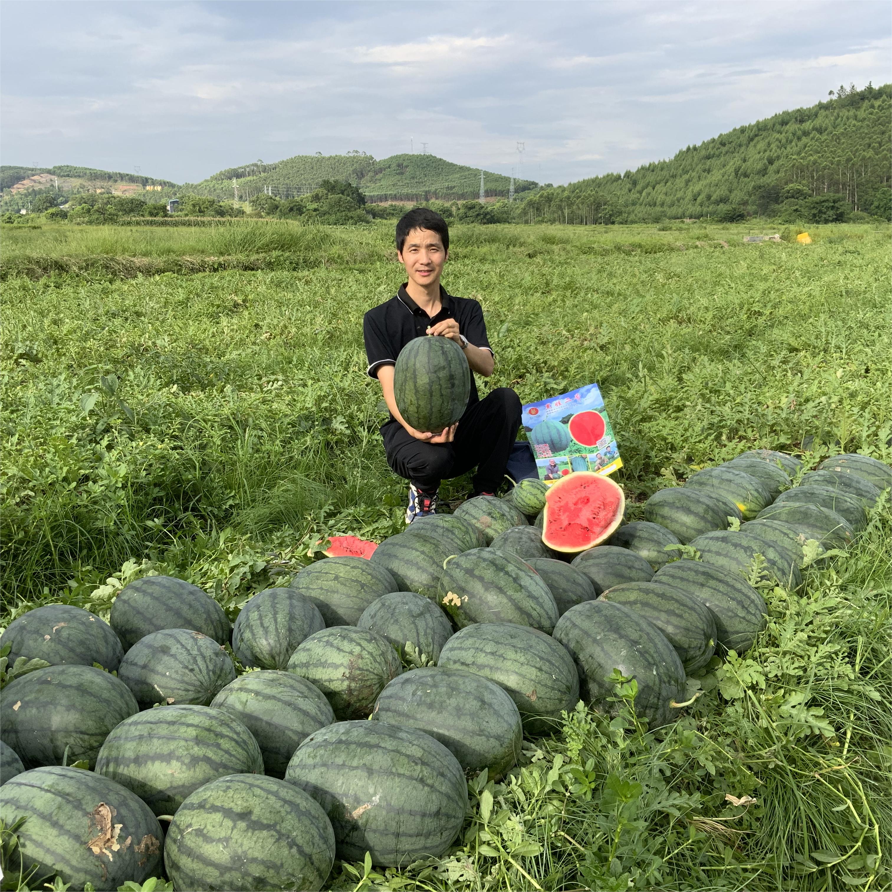 bb贝博艾弗森官方网站黑娃二号